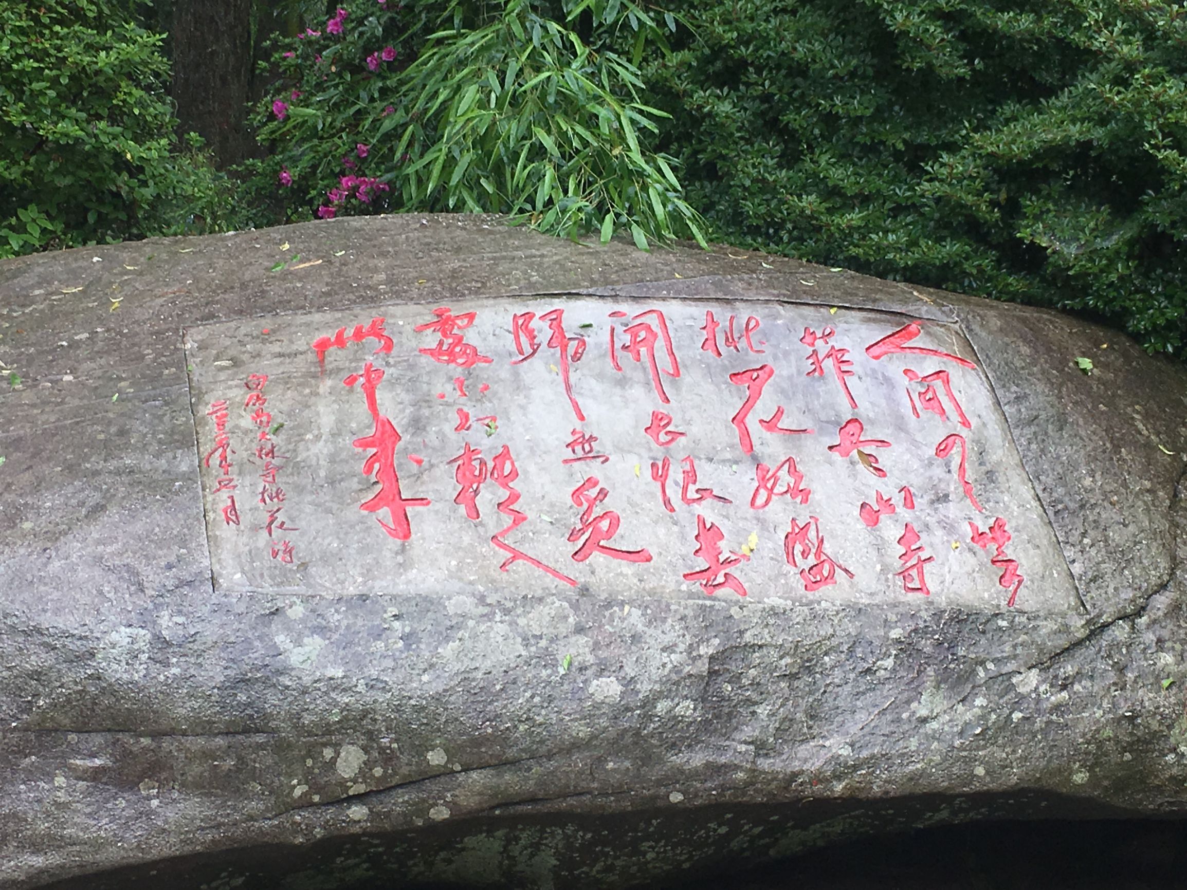 庐山云雾旅游攻略 (庐山云雾讲解)