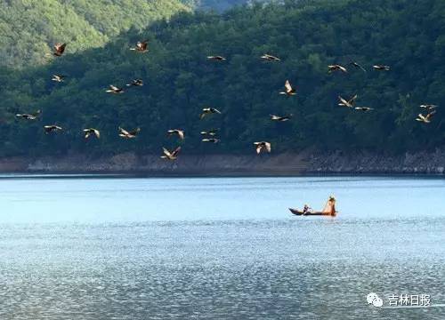 吉林省县级卫生城入选,2020吉林省文明卫生城市入围