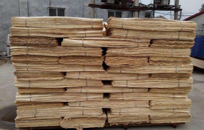 桉木单板和杨木单板区别,杨木品种和木质介绍