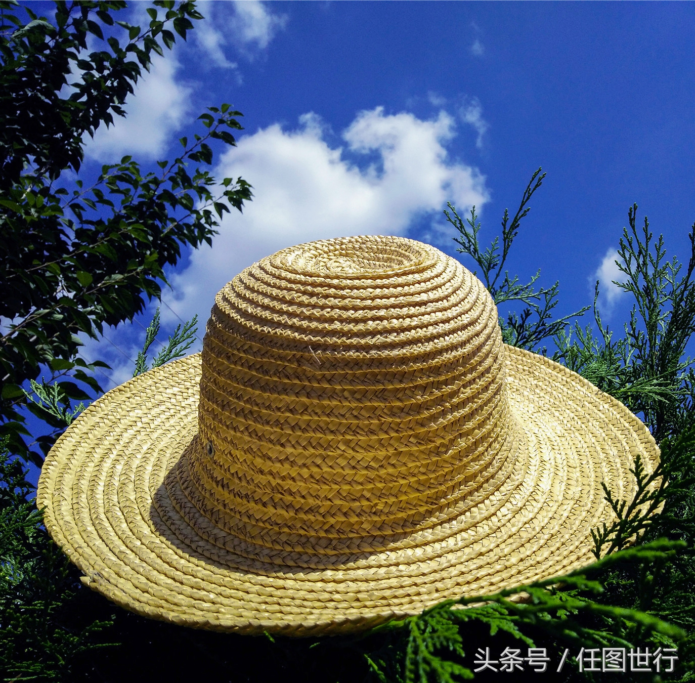炎炎夏日发的句子,炎炎夏日乡村的说说