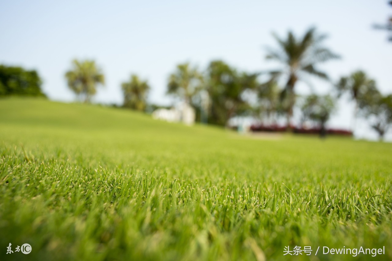 护眼灯能有效预防近视么 (护眼灯模拟自然光)