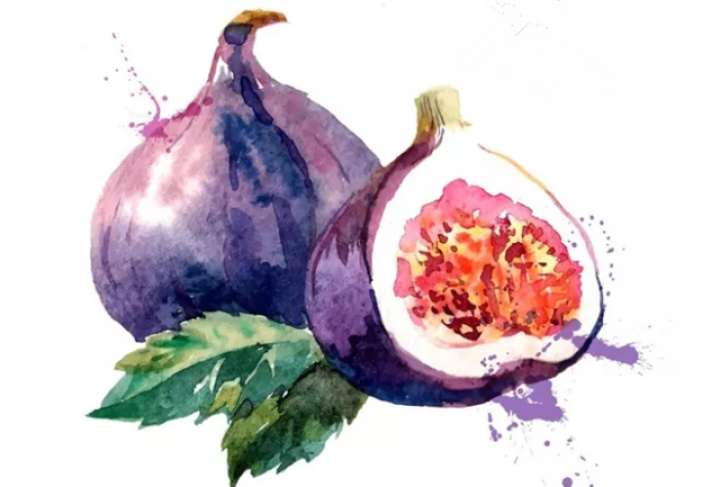 2020年威远无花果节,四川无花果节