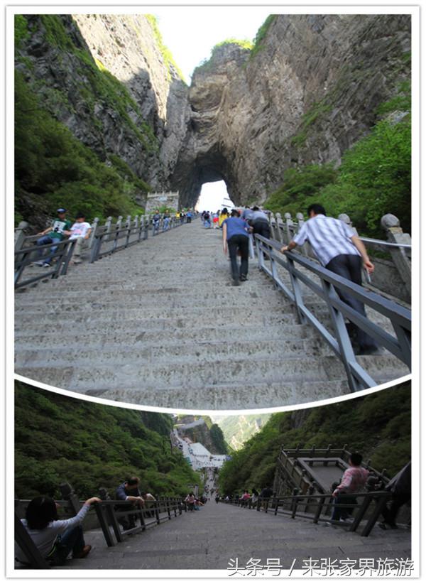 张家界森林公园黄龙洞,张家界天门山森林公园四天攻略
