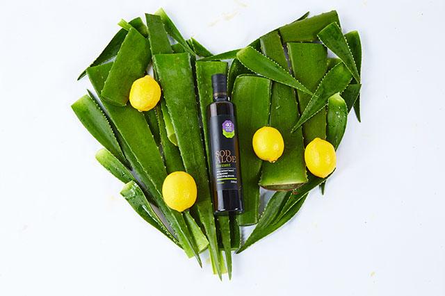 酵素的正确调理方法,怎么自制酵素最快最有效