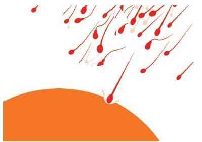 你的“小蝌蚪”足够给力，能一击即“中”吗？