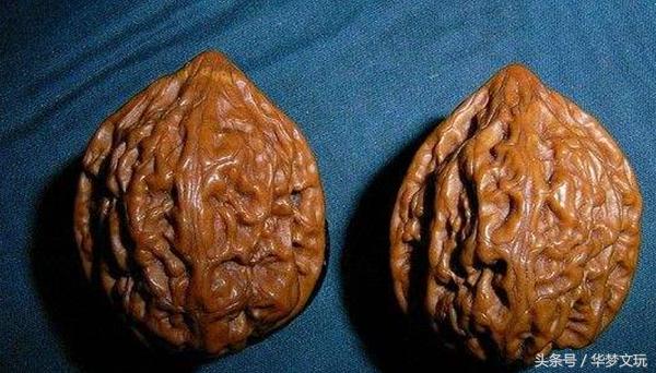 桃心和鸡心形状一样吗,桃心和鸭嘴鸡心有什么区别