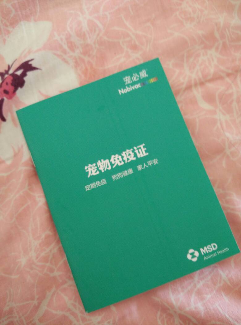 家养狗狗因为没买宠物险,闯祸以后,狗主人面临赔偿一筹莫展,该怎么给狗狗投保,看了这个你就全知道