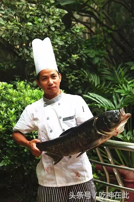 长洲岛竟有座半山望江恐龙主题酒店!吃住玩样样齐!