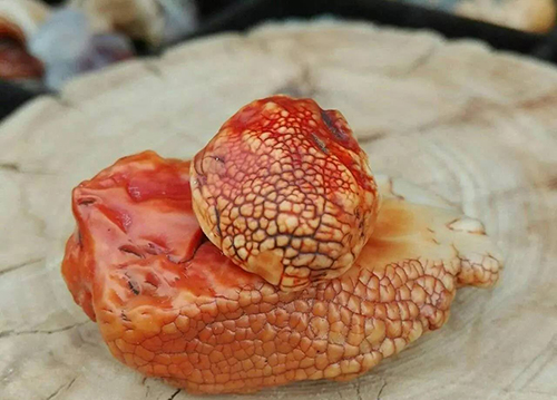 有人喜欢这样的石头，口味还能再重一些吗？