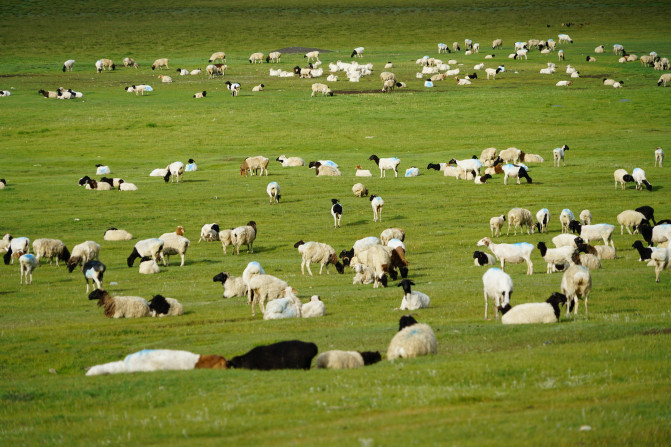 感受大西北的异域风情环疆游结束,南北疆深度游北疆进入南疆