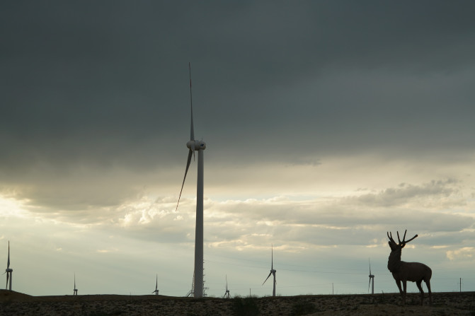 感受大西北的异域风情环疆游结束,南北疆深度游北疆进入南疆