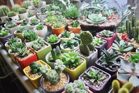 摆摊卖肉如何才能卖得快,摆地摊卖什么肉热销