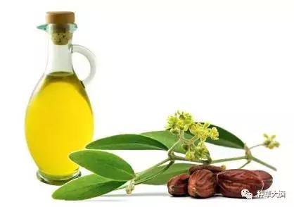 比较温和的去黑头方法,现在比较靠谱的去黑头方法