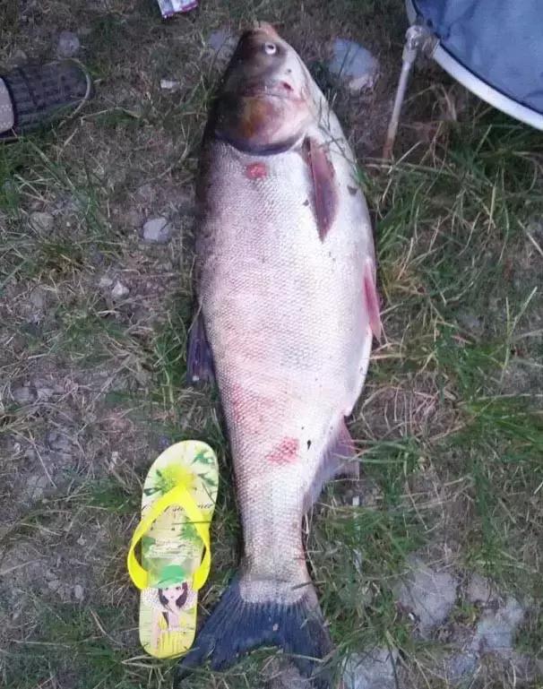 半价活动快来抢购,半价狂欢活动来袭