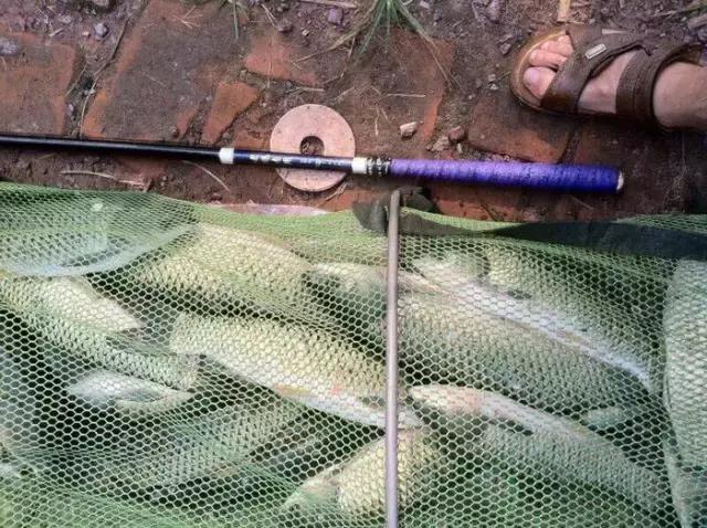 半价活动快来抢购,半价狂欢活动来袭