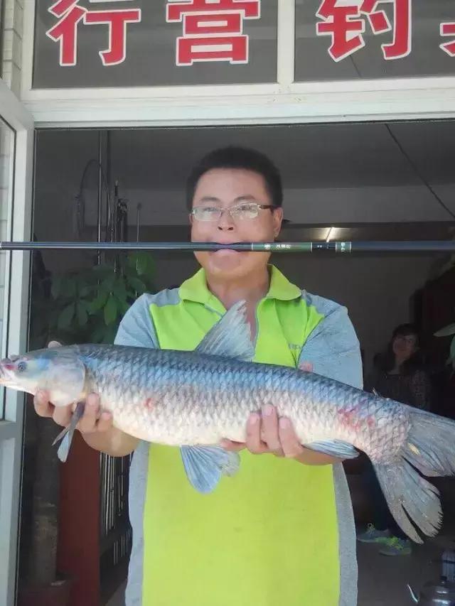 半价活动快来抢购,半价狂欢活动来袭