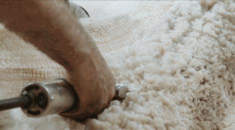 秘鲁神兽来袭，能给你的绝不只是表情包