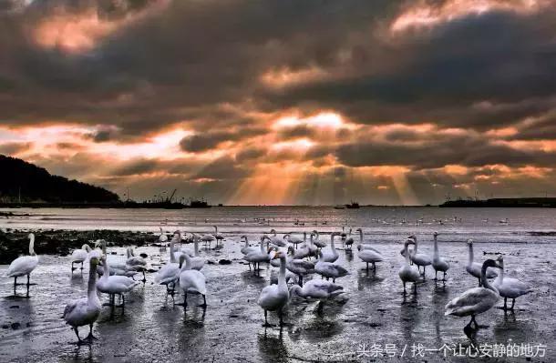 1-3月份山东适合去哪旅游,山东1月2日旅游攻略大全