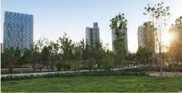 魅力郑州郑东新区,中原区郑州特色