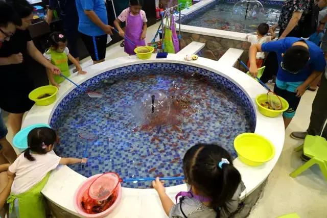 鑸屽皷涓婄殑鍗楅棬,鑸屽皷涓婄殑鍗楅棬缇庨鍥㈣喘