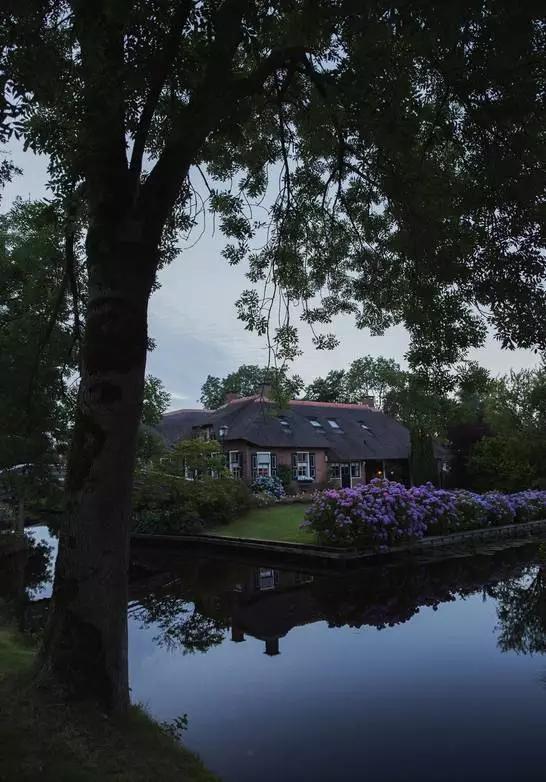 荷兰现在能不能去,什么时候不能去荷兰