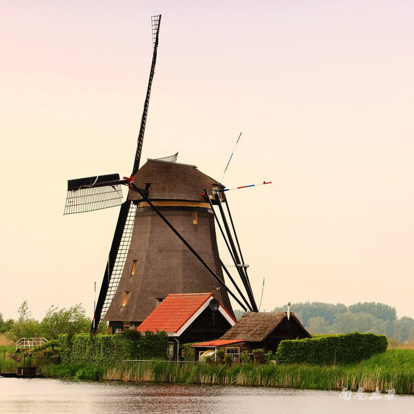 荷兰现在能不能去,什么时候不能去荷兰