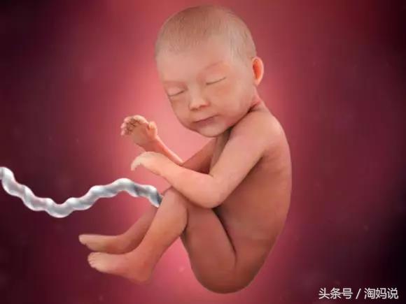 胎儿发育40周全过程注意事项,赞宝宝训练抬头的句子
