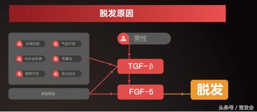 全世界治疗脱发的新发明,世界脱发最新治疗技术