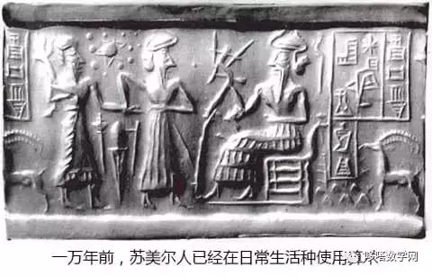 代数式用字母表示数,代数是函数和不等式吗