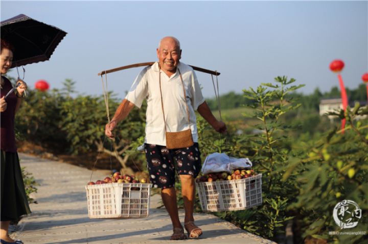 2020年威远无花果节,四川无花果节