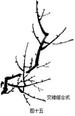 怎么画梅花的枝干老式画法,国画梅花枝干的画法和步骤