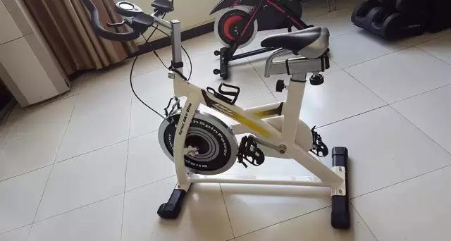 地表最强van车,世界十大动感单车品牌