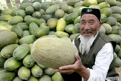 南京必买的十大特产零食,沈阳必买十大特产去哪买