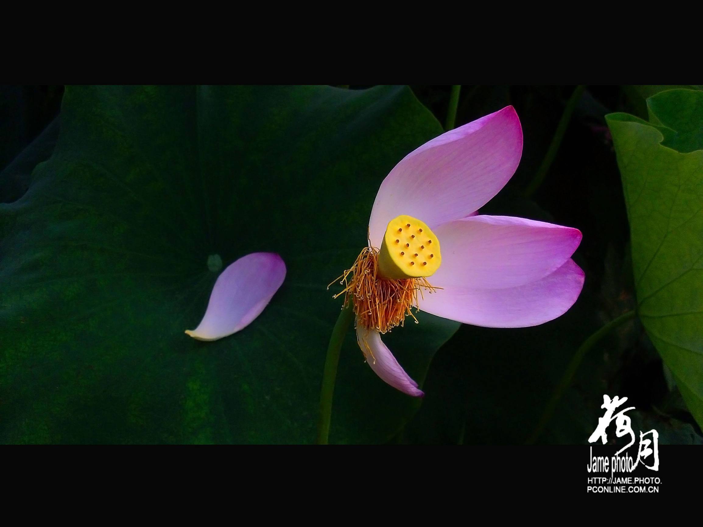 1-12月每月的称谓,一年十二个月的称谓