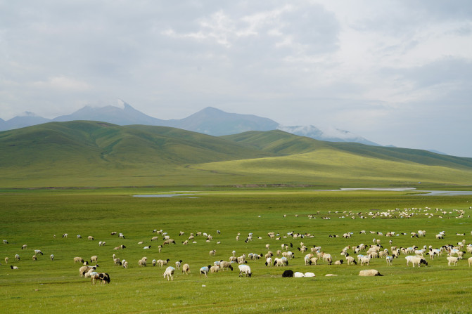 感受大西北的异域风情环疆游结束,南北疆深度游北疆进入南疆