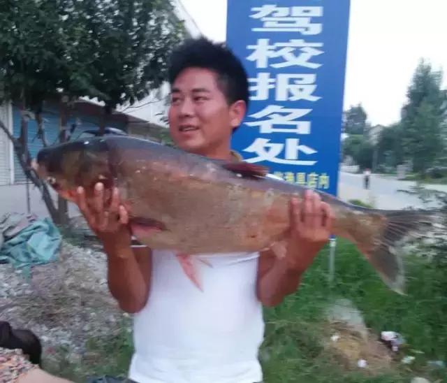 半价活动快来抢购,半价狂欢活动来袭