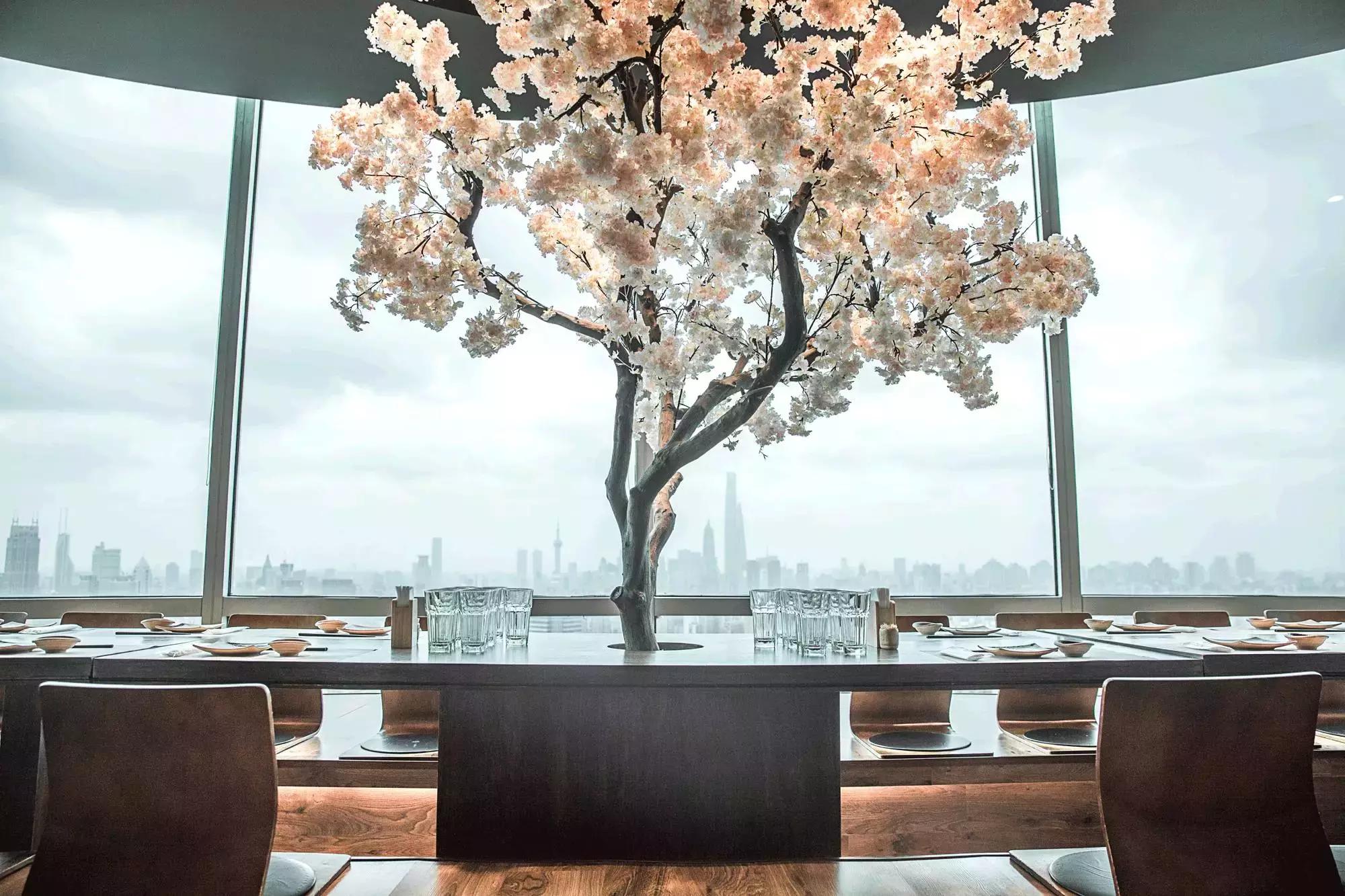 珍稀鱼子酱,波龙鱼子酱