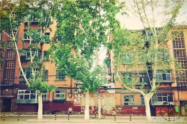 西安三桥以前的样子,西安三桥人