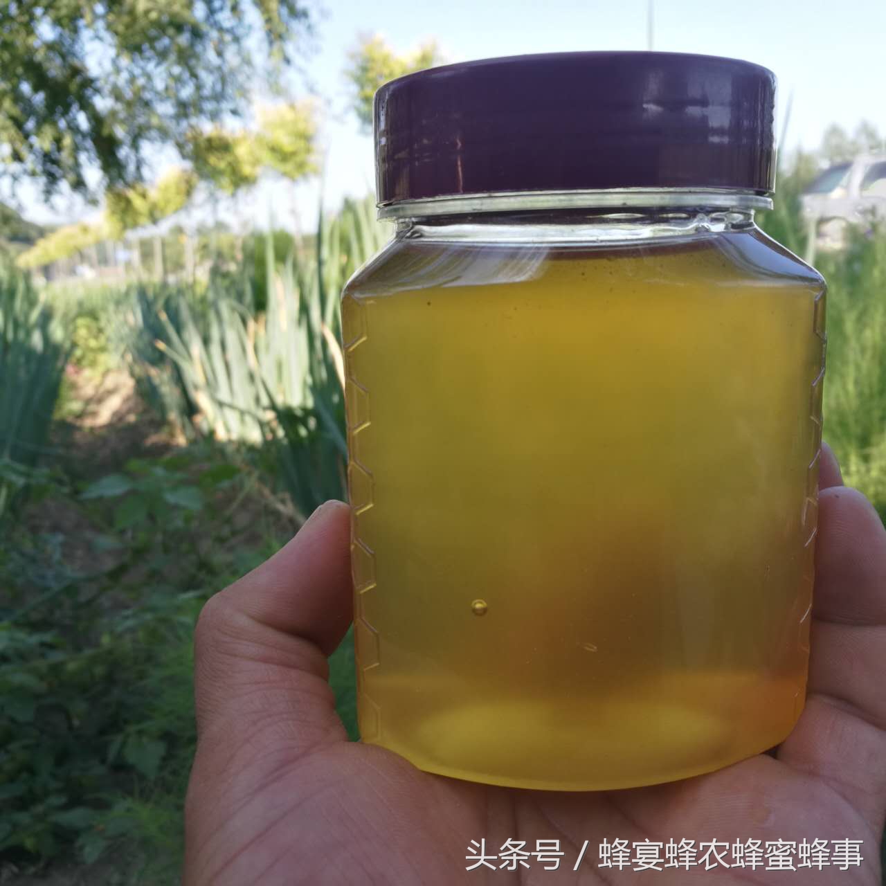 蜂蜜你不知道的5个妙处,蜂蜜你意想不到的功效