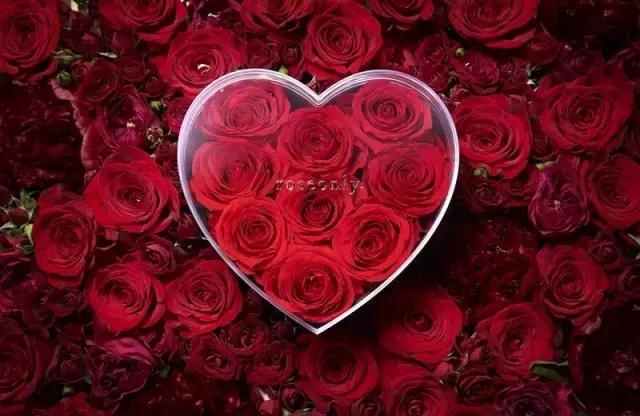 最走心的告白指南,恋爱秘笈情话技巧帮你告白成功