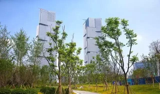 魅力郑州郑东新区,中原区郑州特色