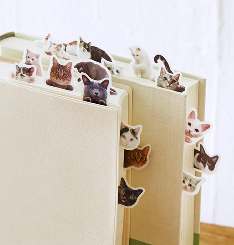 猫咪可以玩的抓宠小游戏,作为猫奴