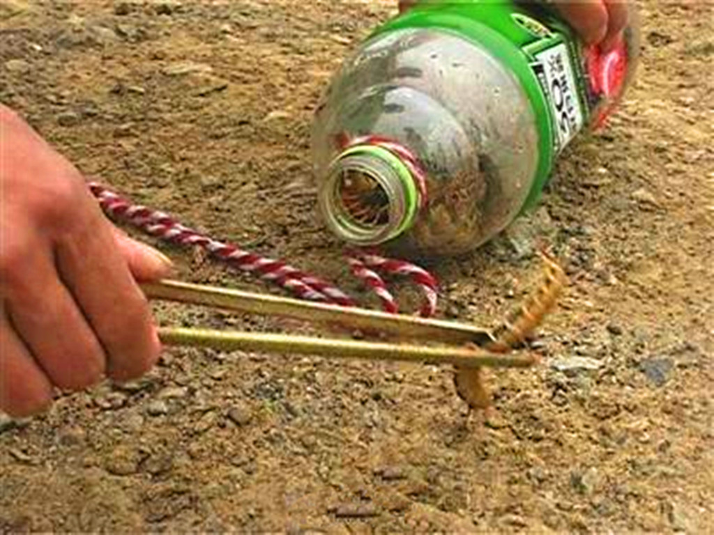 农民增收好点子,捕捉蜈蚣挣钱,被咬后自找草药医治,月入千元
