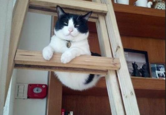 女生说你不娶我怎么嫁,女生说你不娶我你也会娶别人