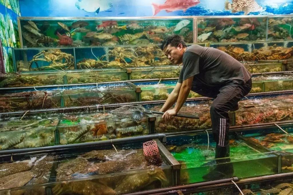 厌烦买买买后的香港还能玩什么？99%的旅游指南都看不到这些