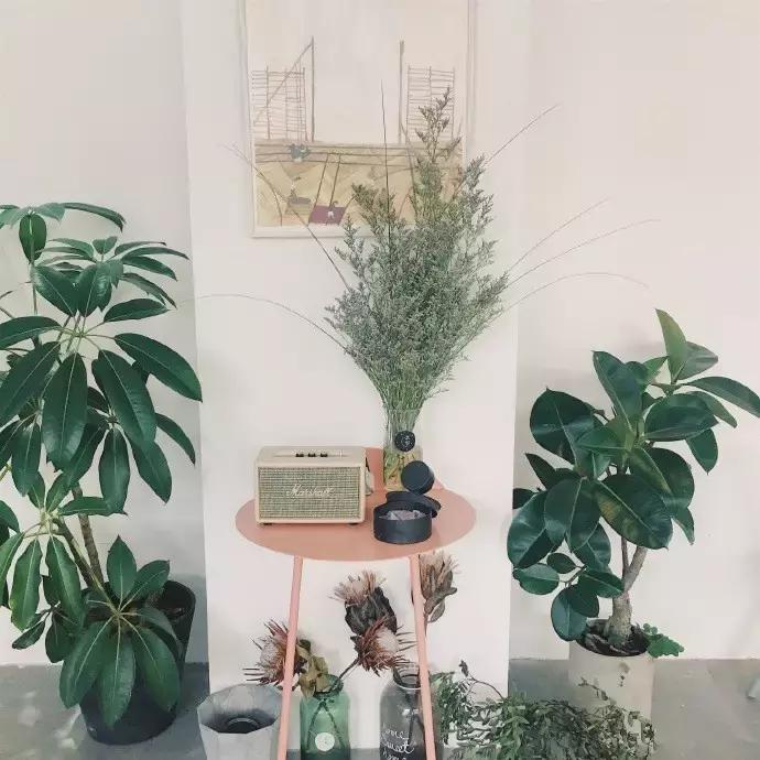 南昌月入十万的生活是什么样的,为什么南昌人那么有钱