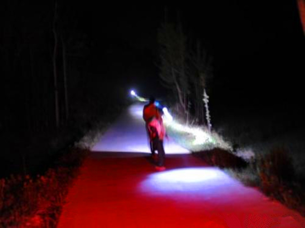 农民增收好点子,捕捉蜈蚣挣钱,被咬后自找草药医治,月入千元