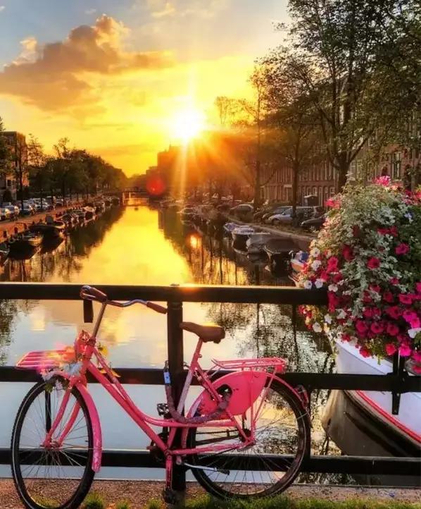 荷兰现在能不能去,什么时候不能去荷兰