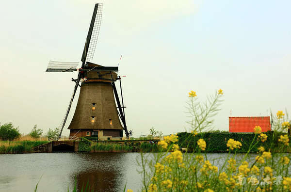 荷兰现在能不能去,什么时候不能去荷兰