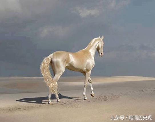 中国最值钱的六匹马，被袁世凯马仔盗走两匹卖美国，现在还回不来